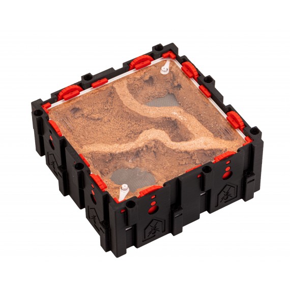 Qbik Wild Quadra P 3C Verdunstung  Inicio