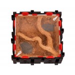 Qbik Wild Quadra P 3C Evaporizacion  Inicio