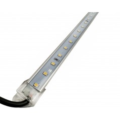 Lampada per piante a spettro completo 4000K Luce LED  Inicio 2