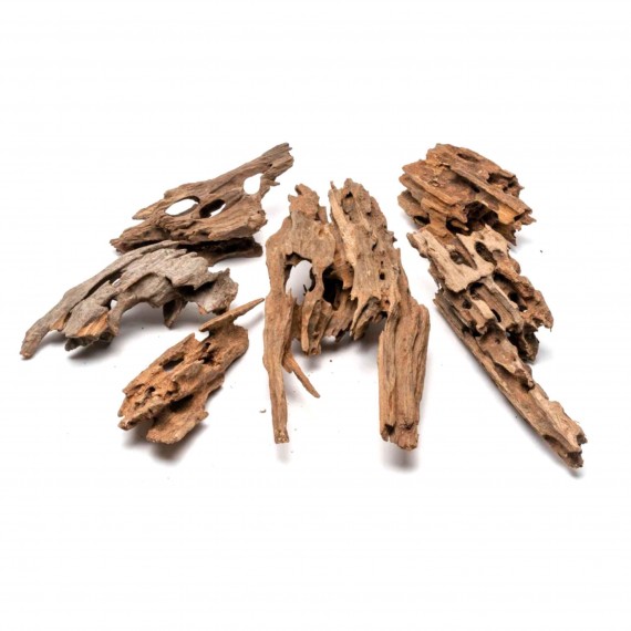 Madera Seiryu Dragon  Inicio
