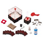 Qbik Starter Kit  Accueil