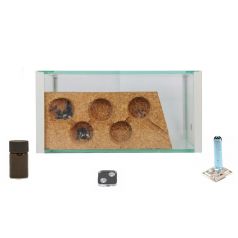 AntHouse Cork Kit (Ants included) Ants nests Kits Anthouse