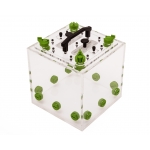 Gaia Scout - 17x17x20cms  Inicio