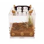 Gaia Scout - 17x17x20cms  Inicio