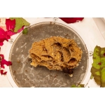 kit Fungus Cortadora de hojas  Inicio