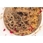 kit Fungus Cortadora de hojas  Inicio