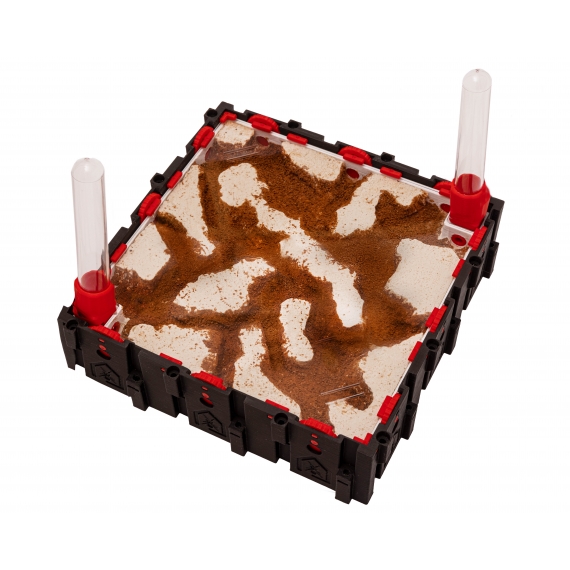 Qbik Wild Nona P 8C  Categorías