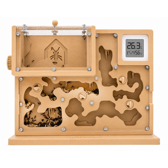 Kit TERRA 3D Home
