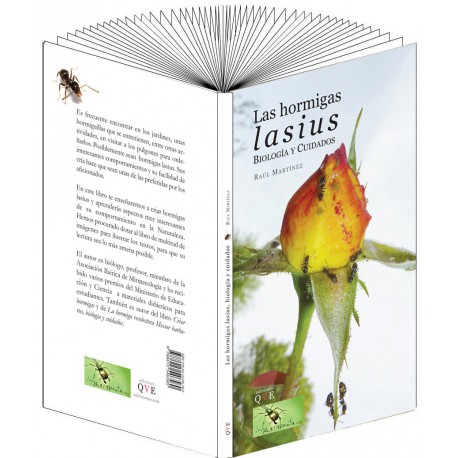 La hormiga Lasius, biología y cuidados (Raul Martinez) Anthouse Libros Sobre hormigas