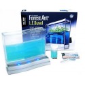 Antquarium Gel LIGHT AND SEEDS (FREE Ants included) Educational for children Anthouse