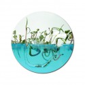 Mini Forest Gel and Seeds (FREE Ants included) Educational for children Anthouse