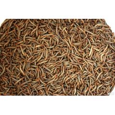 Mealworms (Living food) Food Anthouse