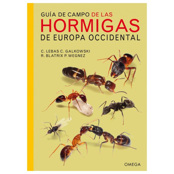 GUÍA DE CAMPO DE LAS HORMIGAS DE EUROPA OCCIDENTAL  Libros Sobre hormigas