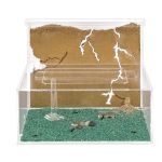 Sand Ant Farm L with Free Ants and Queen (Formicarium Educational) Ants nests Kits Anthouse