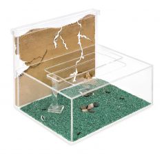 Sand Ant Farm L with Free Ants and Queen (Formicarium Educational) Ants nests Kits Anthouse 2