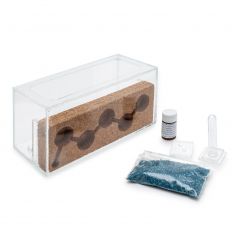 Kits AntHouse Suro Acrílic (amb formigues incloses) Anthouse Kits Formiguers 2