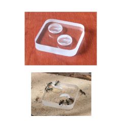 Menjadora de dos forats. Anthouse Altres Accesoris 2