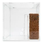 AntHouse-Cork-Acrylic 20x10x10 Cork Anthouse
