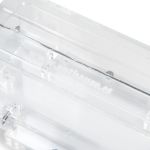 10x20x7cms Caja de forrajeo Mediana Modular  Hormiguero Modular Seta