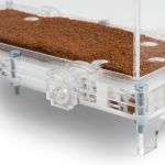 10x20x7cms Caja de forrajeo Mediana Modular  Hormiguero Modular Seta