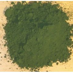 100g Green Pigment Decorations Anthouse