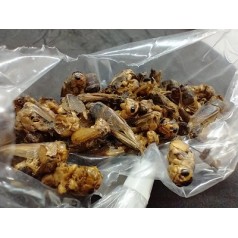 25 gr di grilli disidratati Anthouse Cibo 2