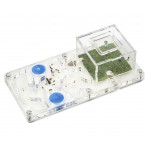 AntHouse-Hori-Acri 10x20x1(with foraging box) Acrylic Anthouse
