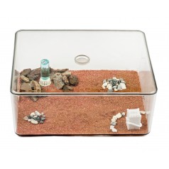 Antcubik-Caja de Forrajeo Anthouse Cajas de Forrajeo