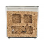 Antcork Lite - Cork Kit with Camponotus barbaricus Ants nests Kits Anthouse