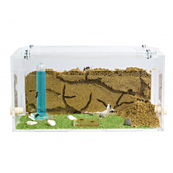 Anthouse Acrylic Starter Kit Ants nests Kits Anthouse