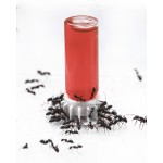 Nectar Alimenticio (MultiColor) Anthouse Comida