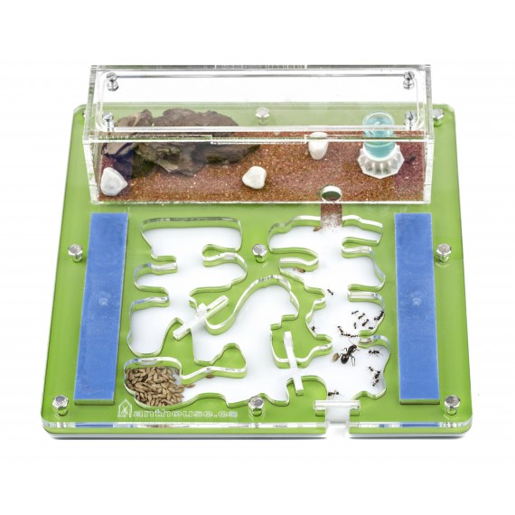 copy of Acrílic NaturColor 20x20x1cms Escuma formiguers Anthouse Anthouse  Formiguers
