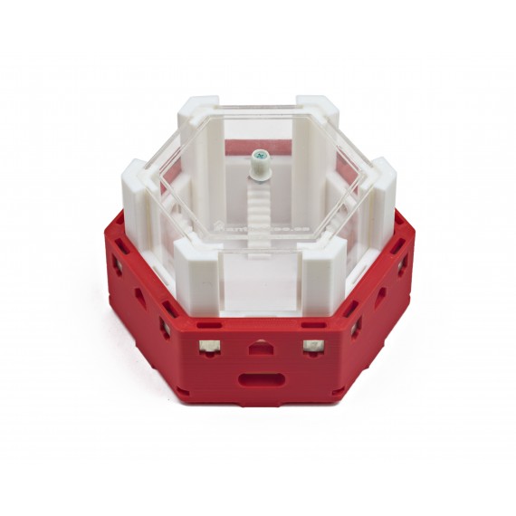 Caja de Forrajeo Modular Hexagonal 3D - Imanes -  Hormigueros 3D Modulares