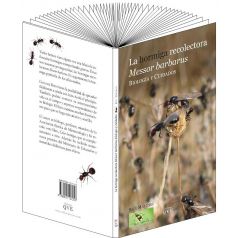 La hormiga recolectora Messor barbarus, biología y cuidados(Raul Martinez) Anthouse Libros Sobre hormigas