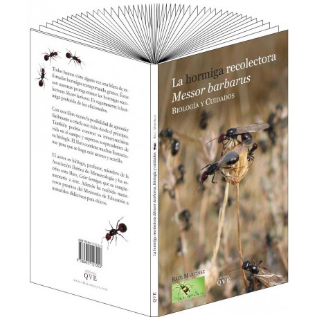 La hormiga recolectora Messor barbarus, biología y cuidados(Raul Martinez) Anthouse Literatura