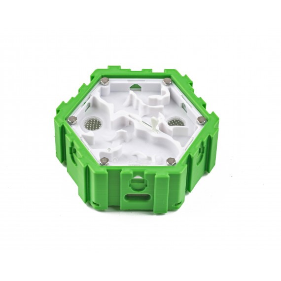 Hormiguero Modular Hexagonal 3D - Hembra-Macho -  Hormigueros 3D Modulares