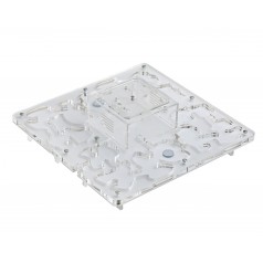 AntHouse-Hori-Acri 30x30x1,5 (Type champignon avec zone de nourriture) Anthouse Fourmilières Plexy 2