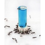 Nectar Blue Sugar 10ml Anthouse Comida