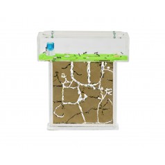 Acrylic Model T Kit (15x15x1.5) Ants nests Kits Anthouse