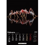 Ant Calendar 2022 OUTLET Anthouse