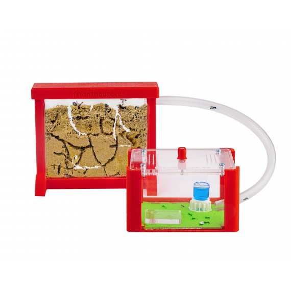 copy of Ant Farm Basic 3D with free Ants and Queen - Educational formicarium for LIVE ants Ants nests Kits Anthouse