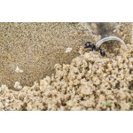 copy of Anthouse 3D Starter Kit Ants nests Kits Anthouse