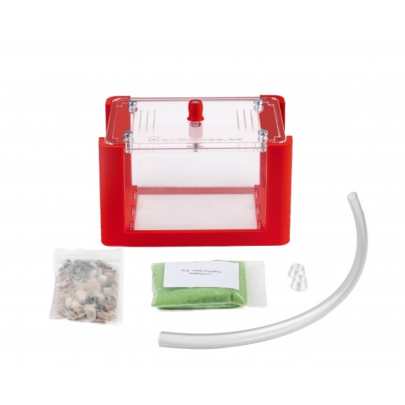 Basic boîte de recherche de nourriture 3D Anthouse Caisse de nourriture