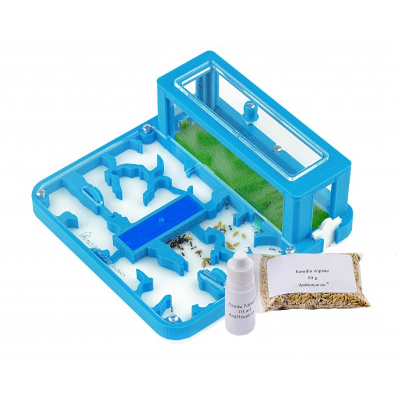 AntHouse 3D - Educational Kit (FREE ants with queen included) Home Anthouse