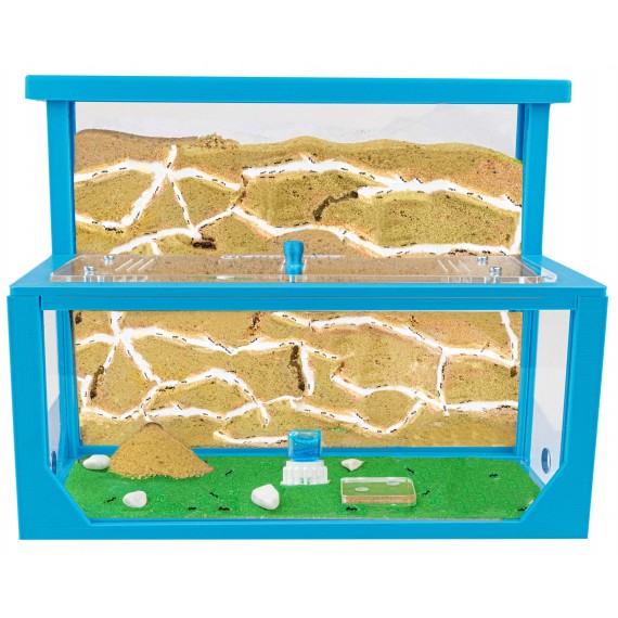 Sand Ant Farm 3D - L - with Free Ants and Queen (Formicarium Educational) Home Anthouse