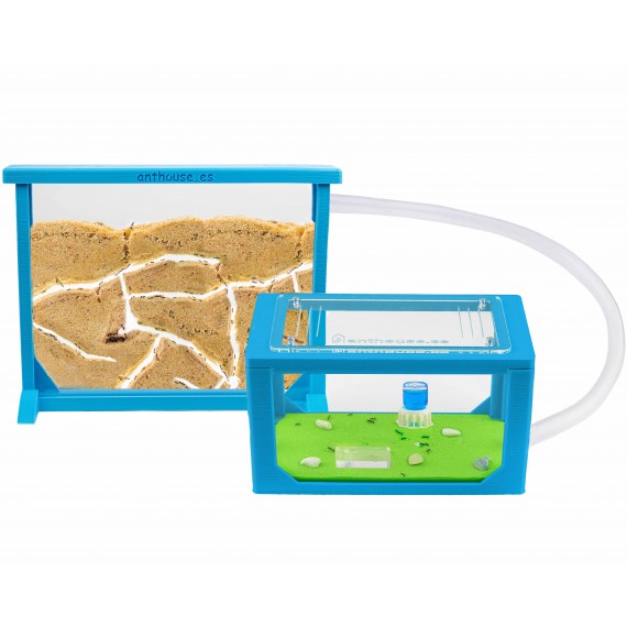 AntHouse Sandwich 3D Medium Kits Home Anthouse