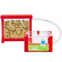 Ant Farm Basic 3D with free Ants and Queen - Educational formicarium for LIVE ants Home Anthouse