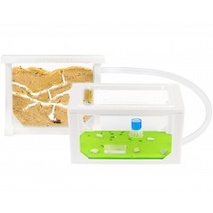 Kits AntHouse Sandwich Mini 3D