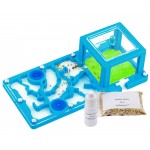 Educational Kit 3D PVA 10x20x1.3 cm (Ants with Queen included Free) Ant's Nests Anthouse