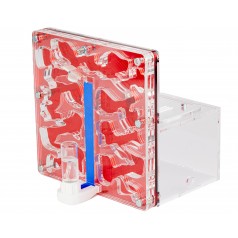 AntCubex Spugna 15x15x1,5cm Con Deposito Anthouse Formicai 2